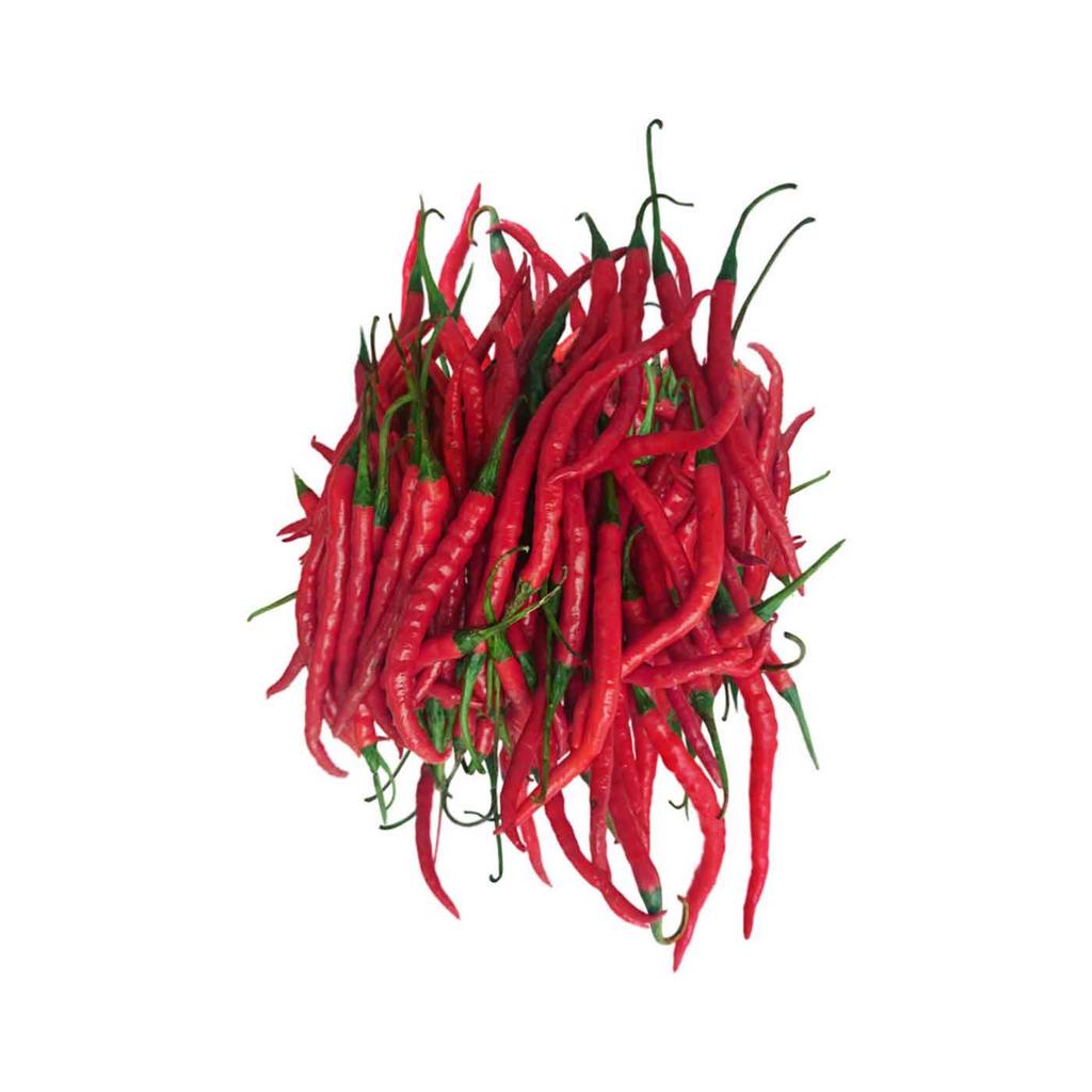 

CABAI CABE MERAH KERITING CABAI MERAH KERITING CABE MERAH CABE KRITING SAYUR SAYURAN SEGAR