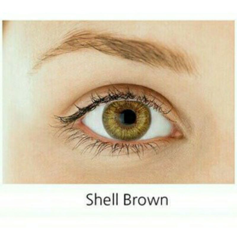 

SOFTLENS TOPGEL SHELL BROWN 14.5mm