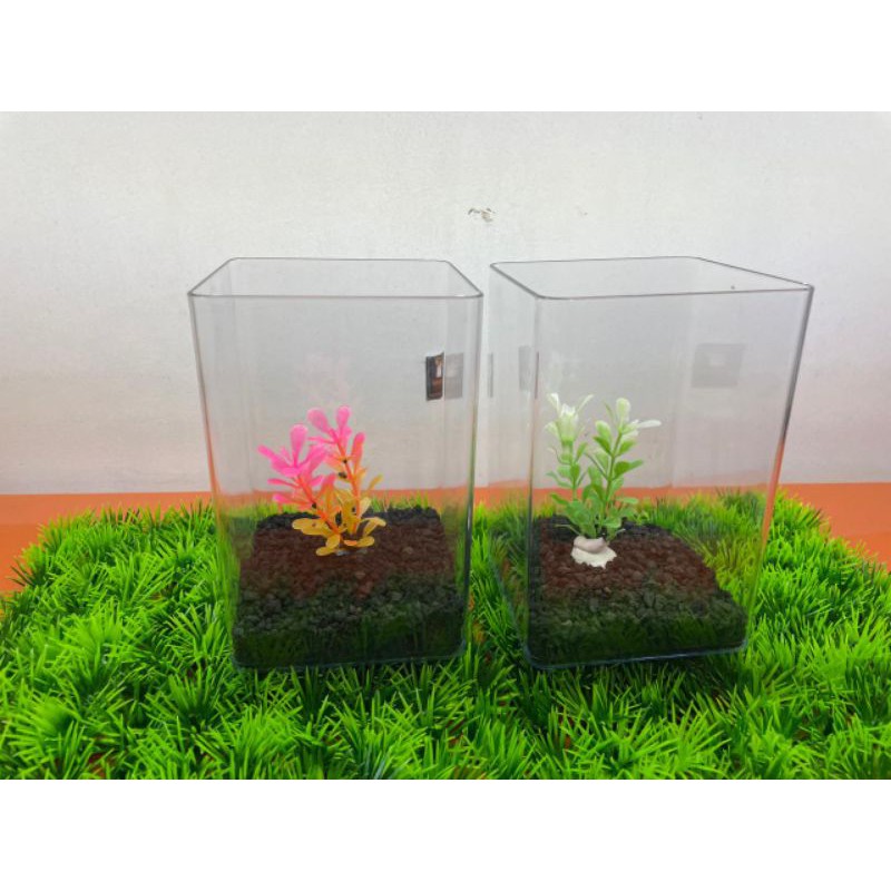 Mini aquarium hiasan FULLSET , aquarium mika untuk cupang, mini fish