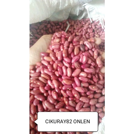 

1kg benih kacang merah atou kacang jogo