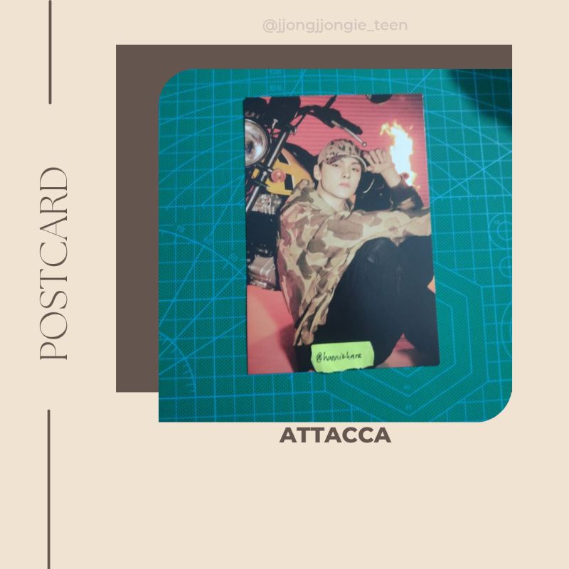 postcard vernon attacca