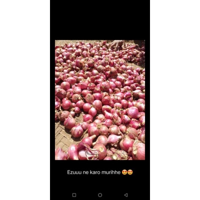 

bawang merah