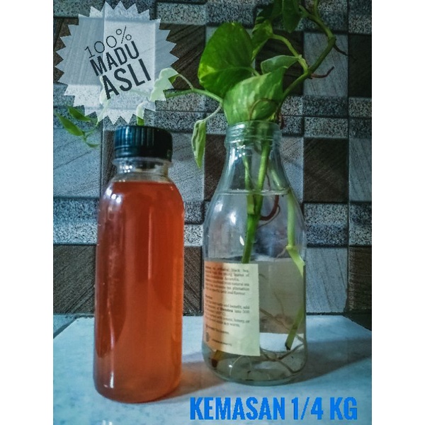 

Madu Odeng 100% Asli (250gr)