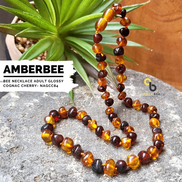 Kalung Amber Dewasa Premium Glossy Cognac Cherry by Amber Bee NAGCC84