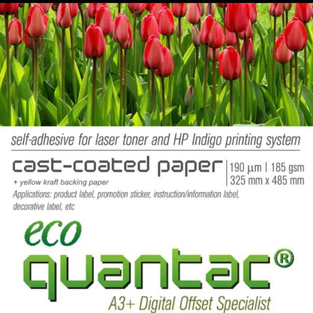 Pack - Quantac Stiker Kertas Kromo ECO Glossy Digital Print Laser Dry Toner A3+ Cast Coated Paper Sticker Mirrokote Bontak