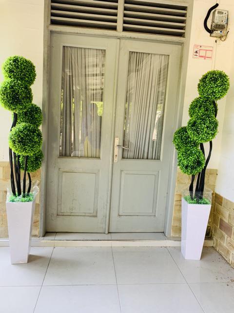 Bonsai Sudut / Bunga Sudut