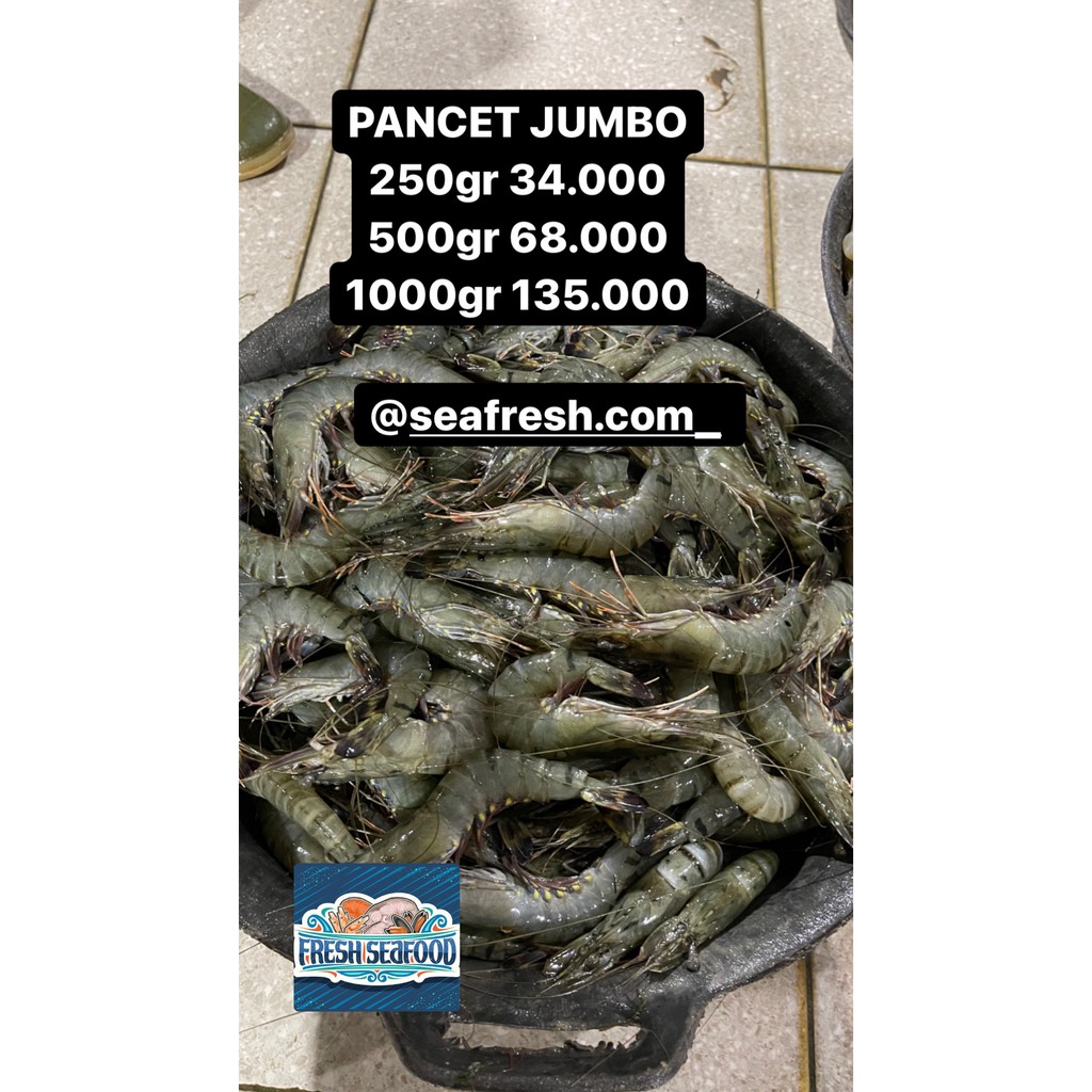 

UDANG PANCET JUMBO
