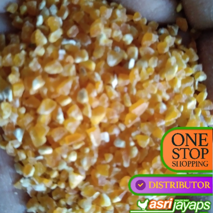 Pakan Ayam Beras Jagung 500 Gr