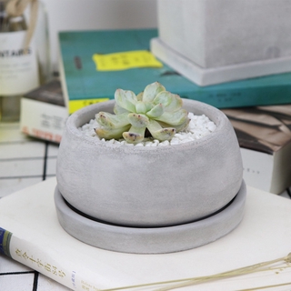 Pot Bunga Kaktus Succulent Mini Bahan Plastik Dengan Baki Pot Bunga Kaktus Succulent Mini Bahan Plastik Dengan Baki