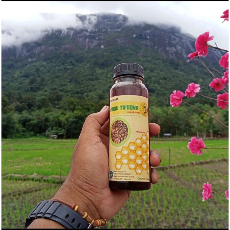 

Madu Trigona /Madu Kelulut Kalimantan barat.Murni 250ml