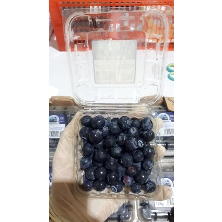 

BLUEBERRY IMPORT 125GR