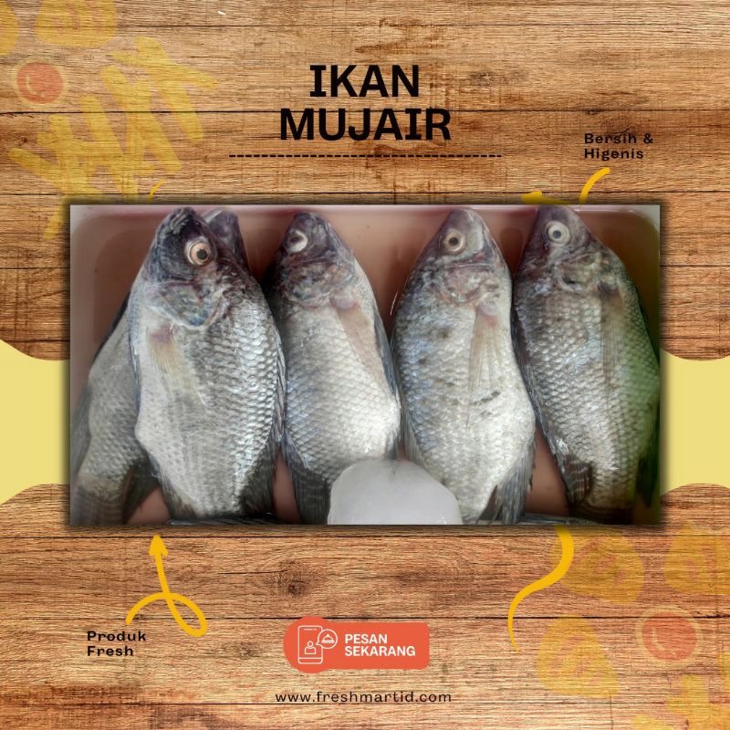

Mujair Segar 1kg