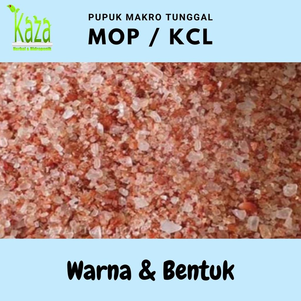 Pupuk MOP KCl Repack 500gr Muriate of Potash Sumber Kalium Makro