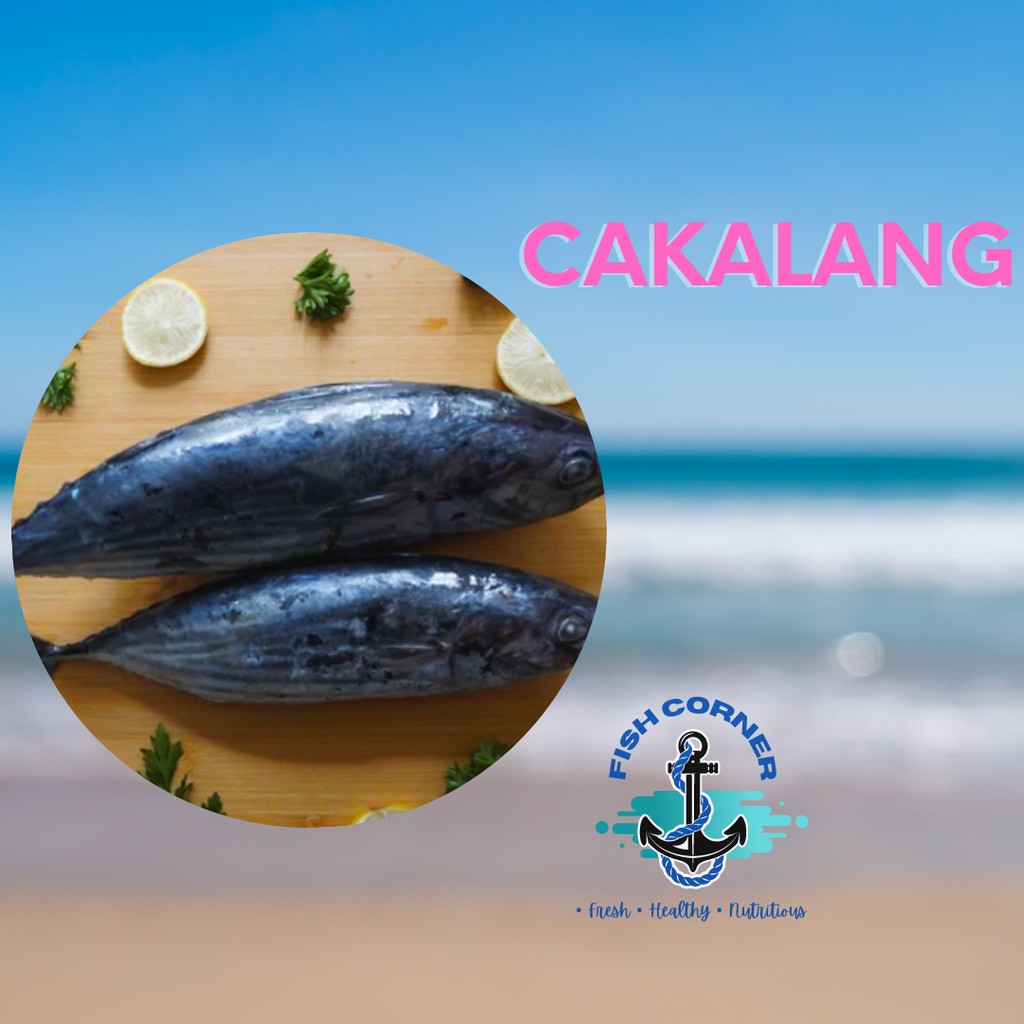 

Ikan Cakalang Frozen 1 kg