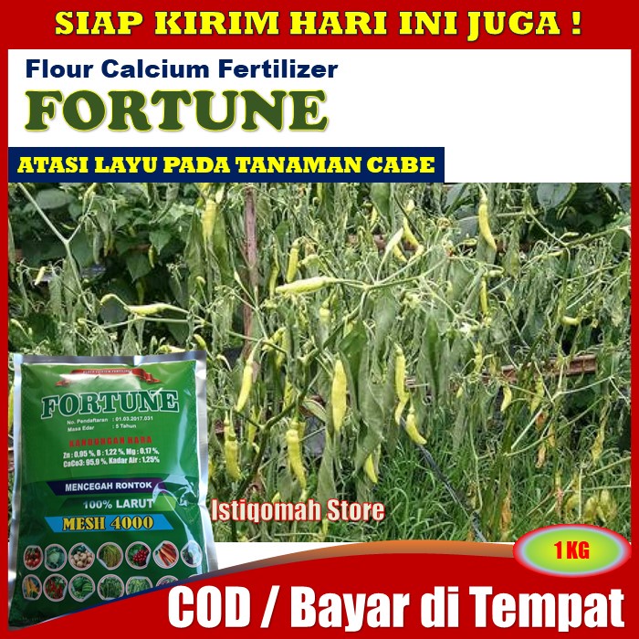 PROMO COD Pupuk Kalsium FORTUNE 1 KG Obat Penyakit Layu Pada Tanaman Cabe - Obat Layu Pada Cabai - O