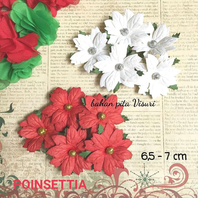 Paper Flower Natal Poinsettia