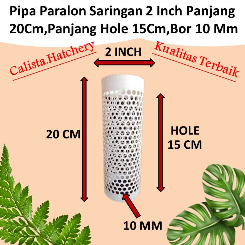 Promo Termurah Pipa Saringan Kolam Paralon 2 Inch Panjang 20Cm Lubang 10Mm Kualitas Super
