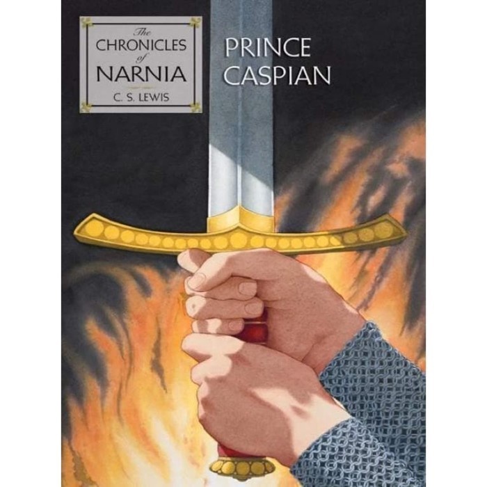 The Chronicles of Narnia by C.S. Lewis: 7 Book Box Set (PAPERBACK)