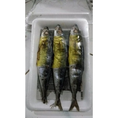 

IKAN PINDANG DELES PER 1 PACK