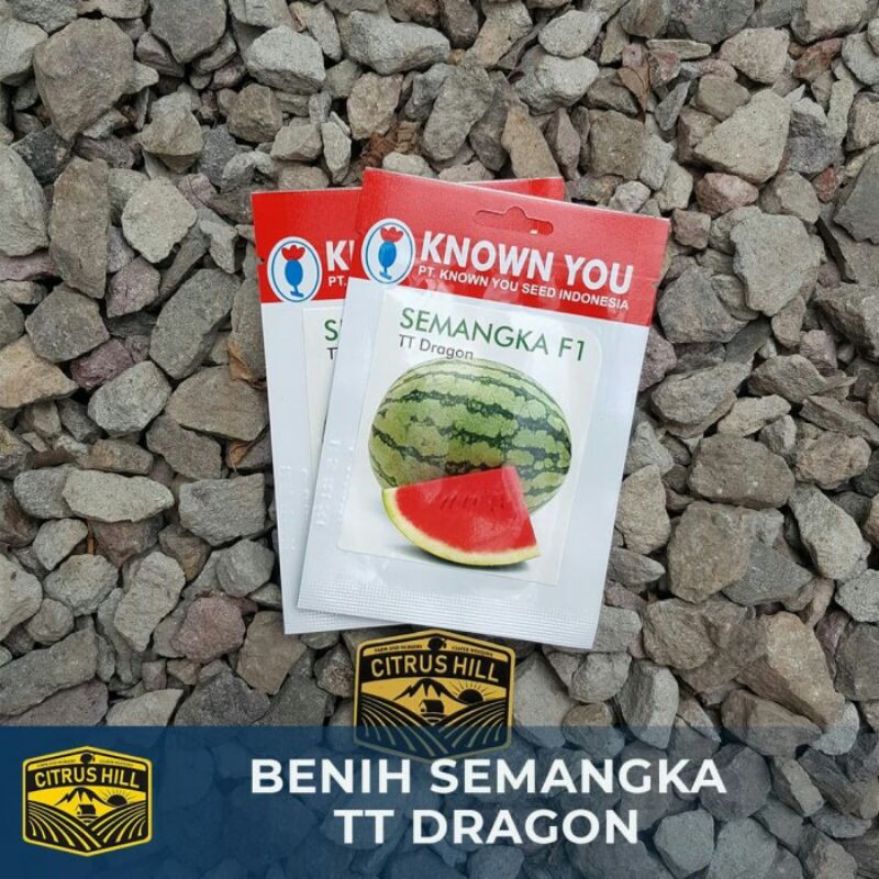 Benih Semangka TT Dragon Known You Seed SP
