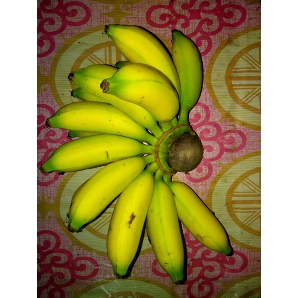 

Pisang Muli 1 Sisir