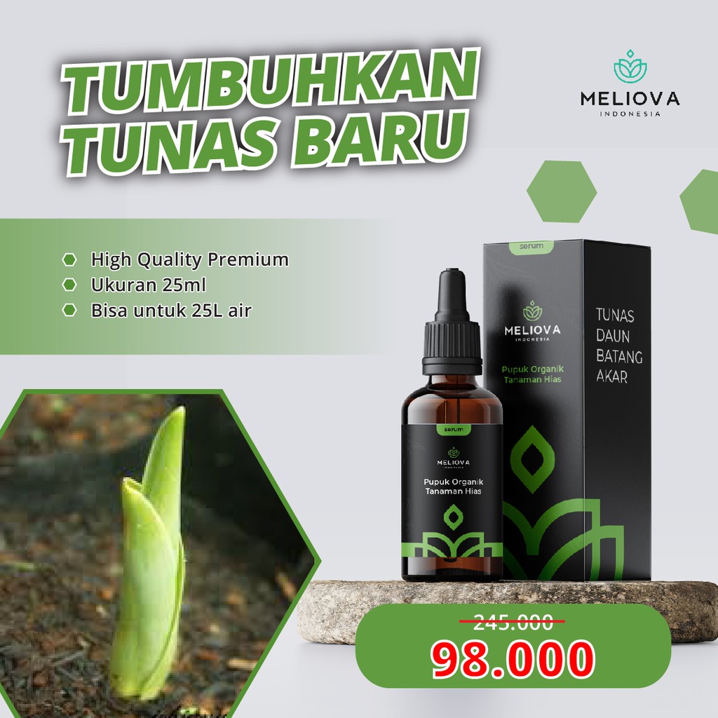 Meliova Serum Pupuk Organik Cair