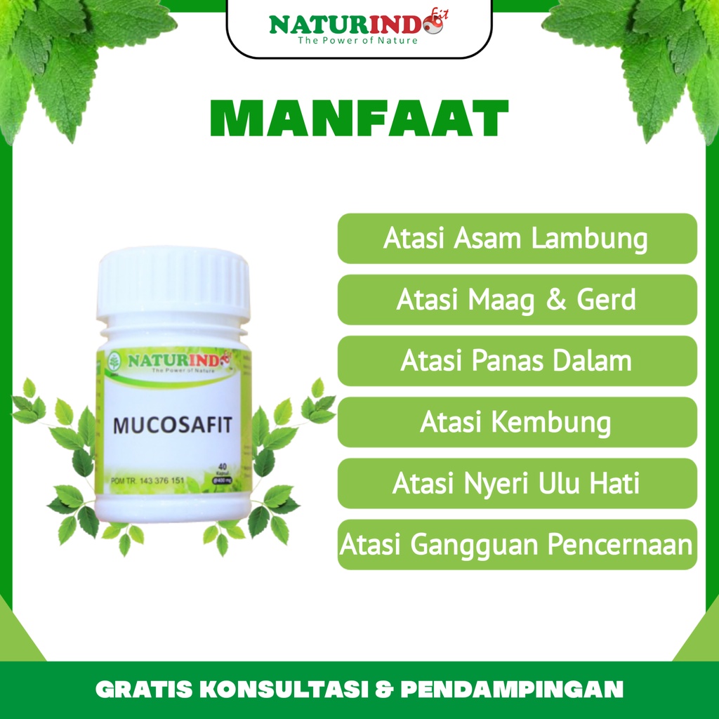 Obat Herbal Asam Lambung Tinggi Maag Magh & Gerd Kronis Gastritis Tukak Lambung Akut Sakit Perut Nyeri Ulu Hati Kembung Gangguan Pencernaan Panas Dalam Mucosafit Naturindo Bpom Herbal Paling Ampuh Halal Tanpa Efek Samping-1