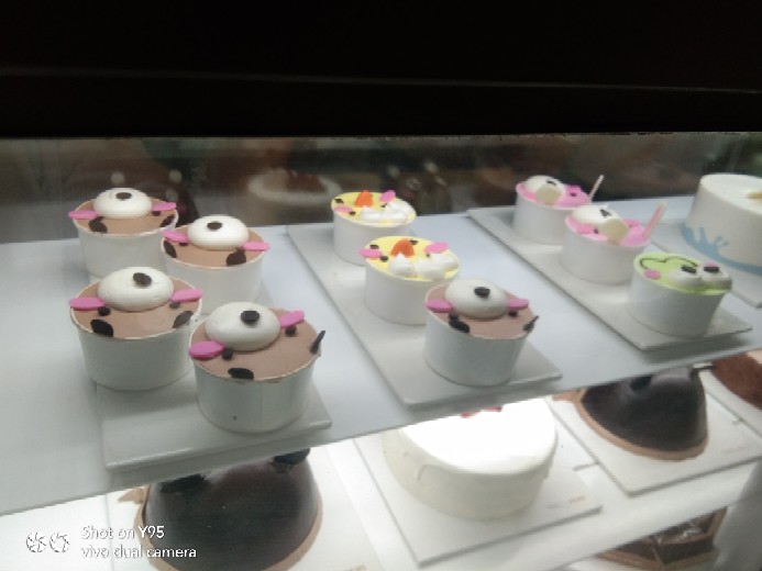 Gantungan Cakar Stainlish Universal