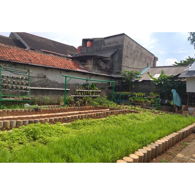 TERMURAH Benih Bibit Sayur Sayuran Paket Lengkap Tanaman Hidroponik All Varian Kangkung Bayam Cabe Sawi Unggul Timun dll