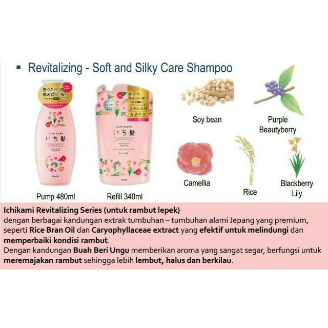 Ichikami Shampoo - 480ml