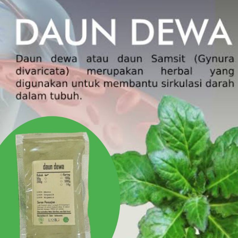 

DAUN DEWA / SAMSIT BUBUK 100 GRAM - Gynura Divaricata - MURNI - jsr herbal rempah alami