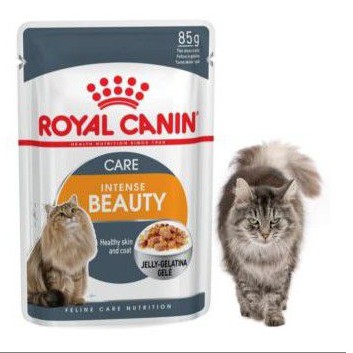 Royal Canin intense beauty Jelly 85g ecer 1 sachet