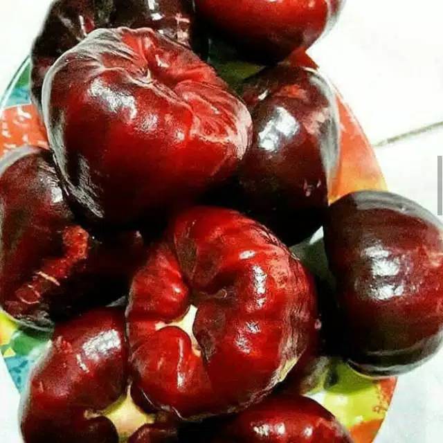 Jambu Air Black Kingkong