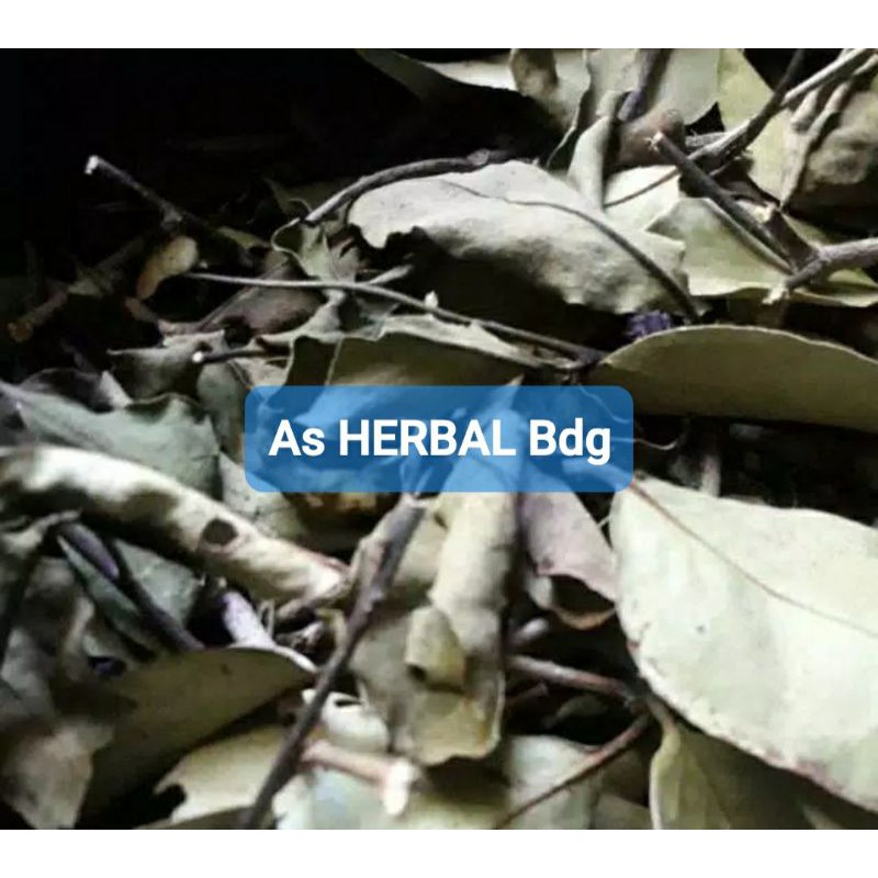 

Benalu pohon mindi benalu mindi kering 500 gram-az