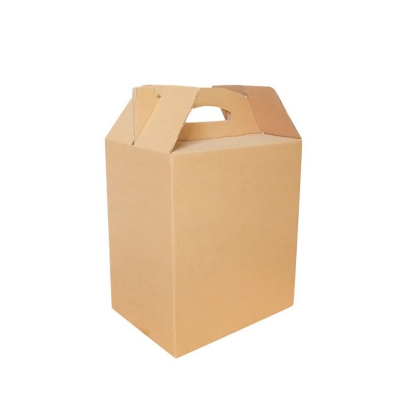 

Box 29x20x36 cm (jinjing) Kardus/Karton/Polos/buah/Hampers