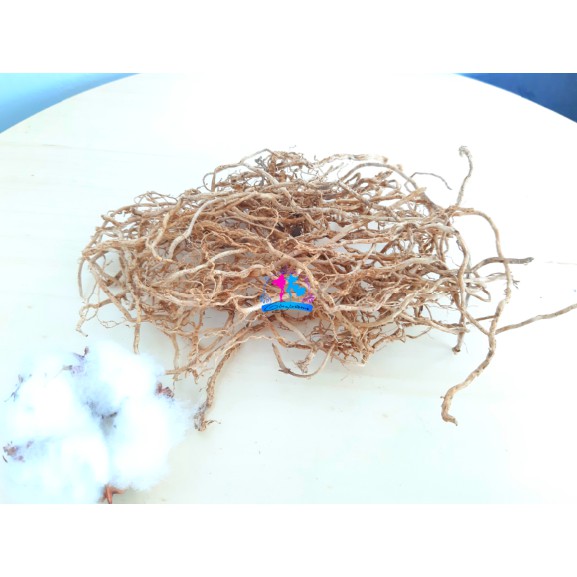 

Akar Wangi Kering Asli | Dried Akar Wangi