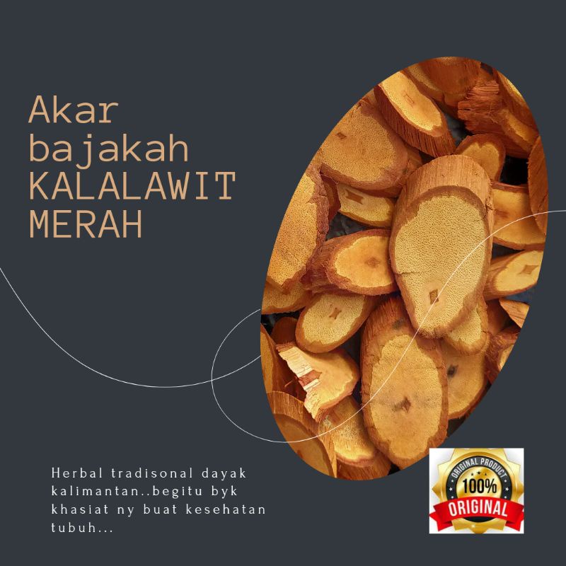 

Akar Bajakah kalalawit kering 1 kg Siap Seduh 100% Original bajakah asli Kalimantan