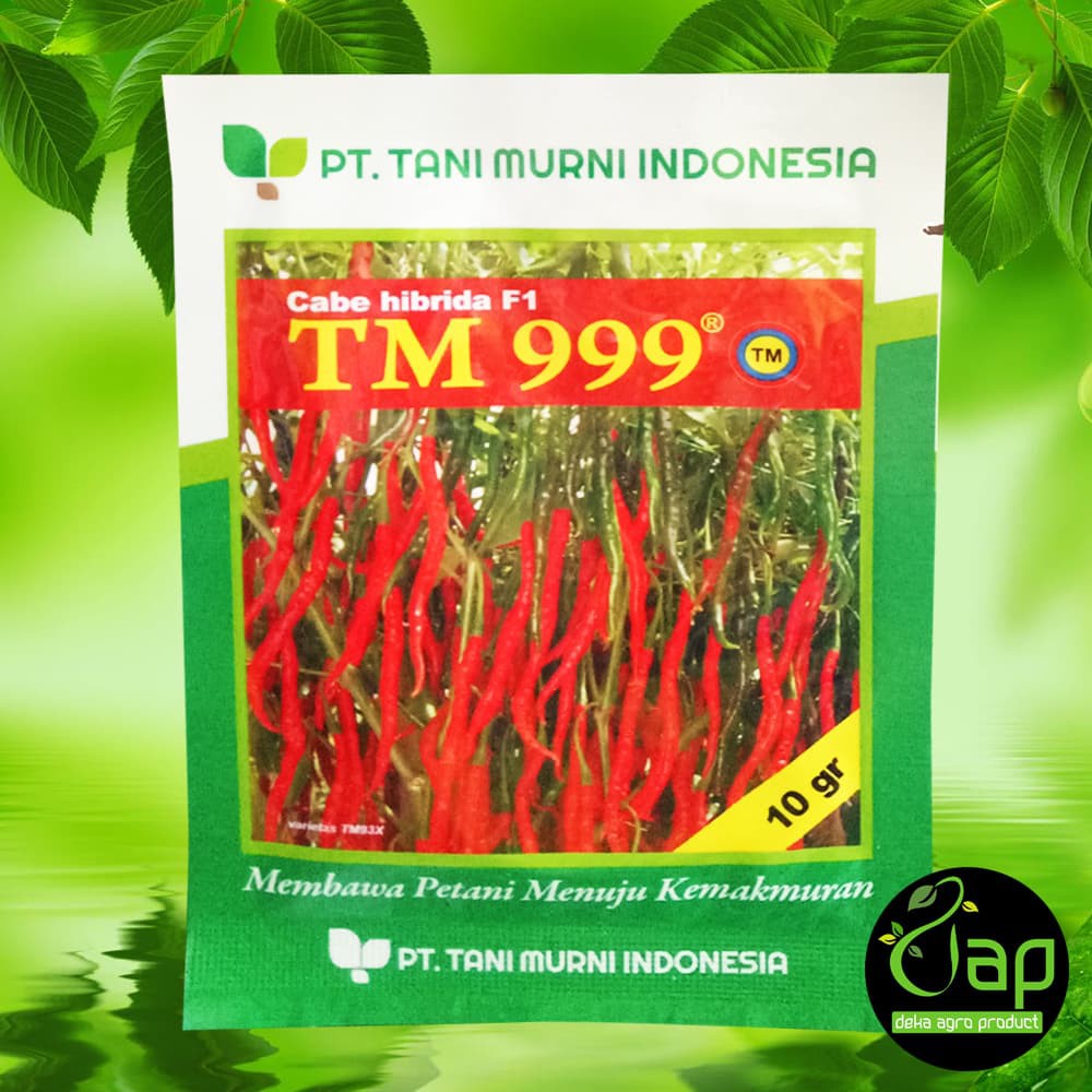 BIBIT CABAI KERITING TANI MURNI TM 999