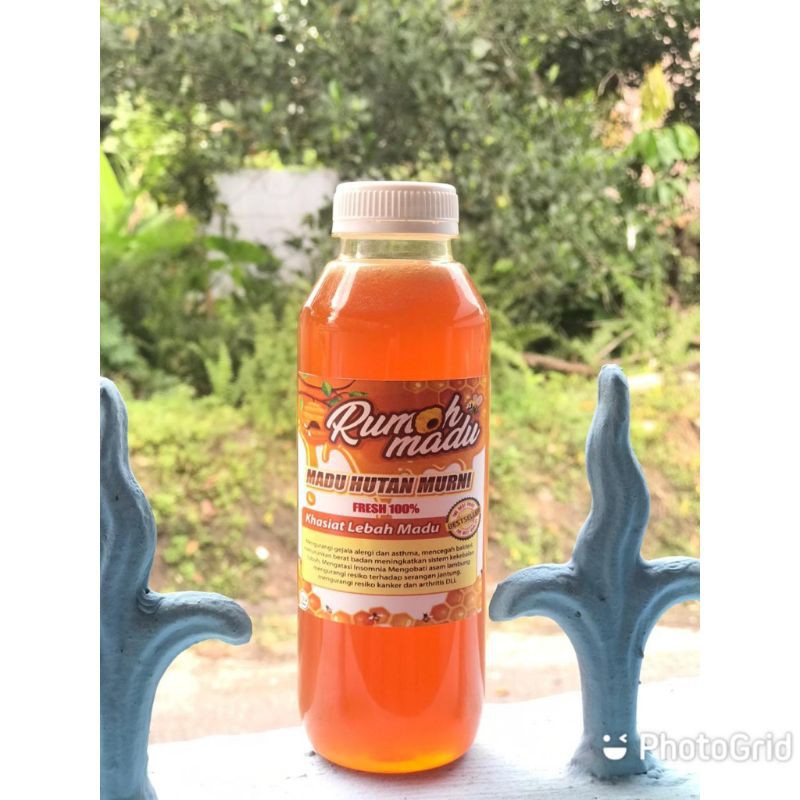 

MADU HUTAN KALIMANTAN MURNI