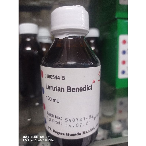 LARUTAN BENEDICT 100ML INDO REAGEN