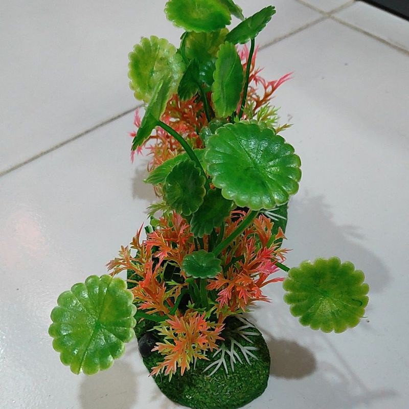 hiasan daun dengan rumput laut