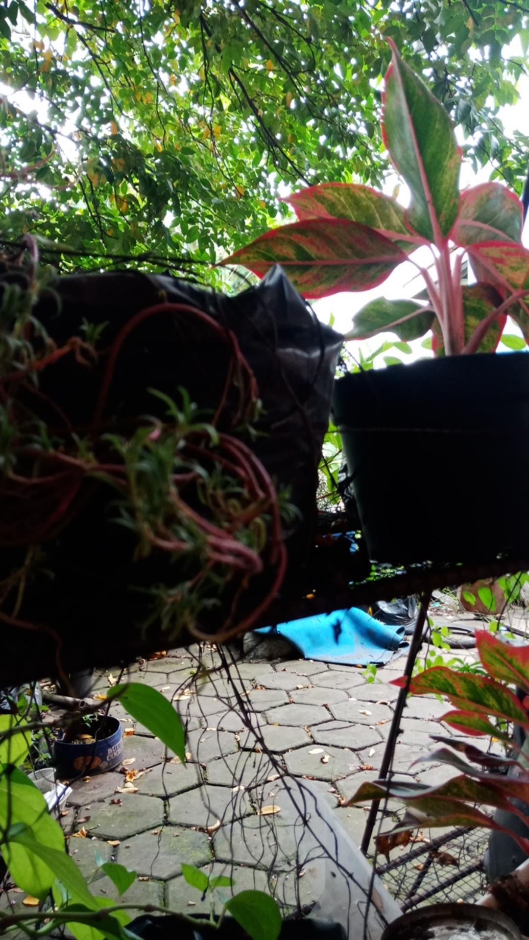 Batik Couple Set Sarimbit Batik Kerja Couple Batik Baju Batik