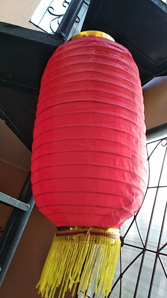 Lampion Lonjong Polos 20cm 8 Inch