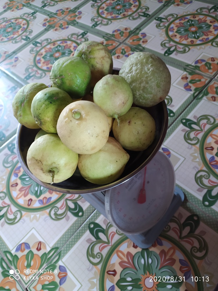 Set Pisau Dapur Knife Set 5in1 Plus Talenan Stainless Pisau Dapur Dan Talenan 20cm X 30cm