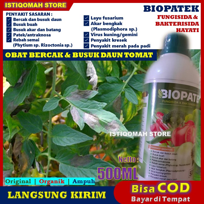 BIOPATEK 500ml Obat Penyakit Bercak dan Busuk Daun Tanaman Sayuran Tomat yang Bagus Paling Ampuh Akibat Curah Hujan Tinggi