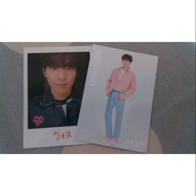Seventeen Wonwoo Trading Card TC Haru