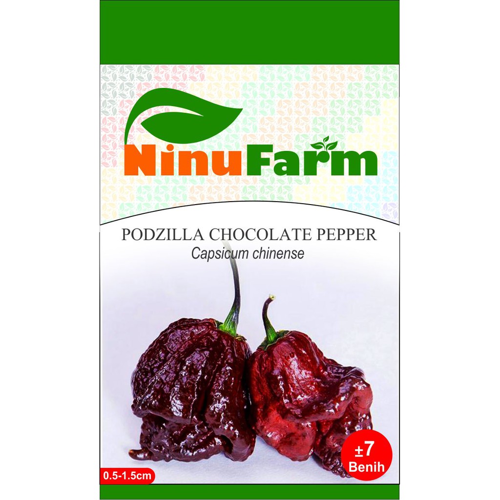 Benih Podzilla Chocolate Pepper 7Seeds