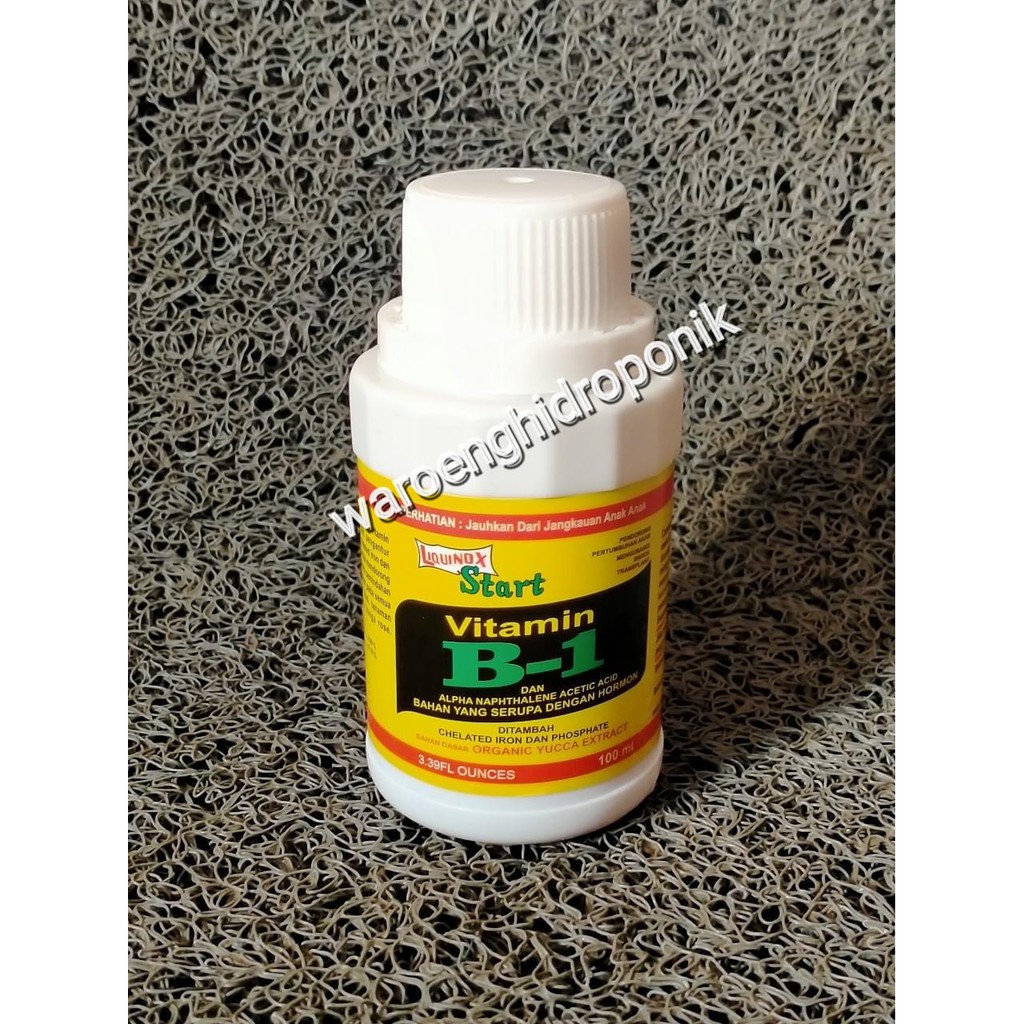VITAMIN B1 LIQUINOX ANTI STRES TANAMAN AGLONEMA ANGGREK