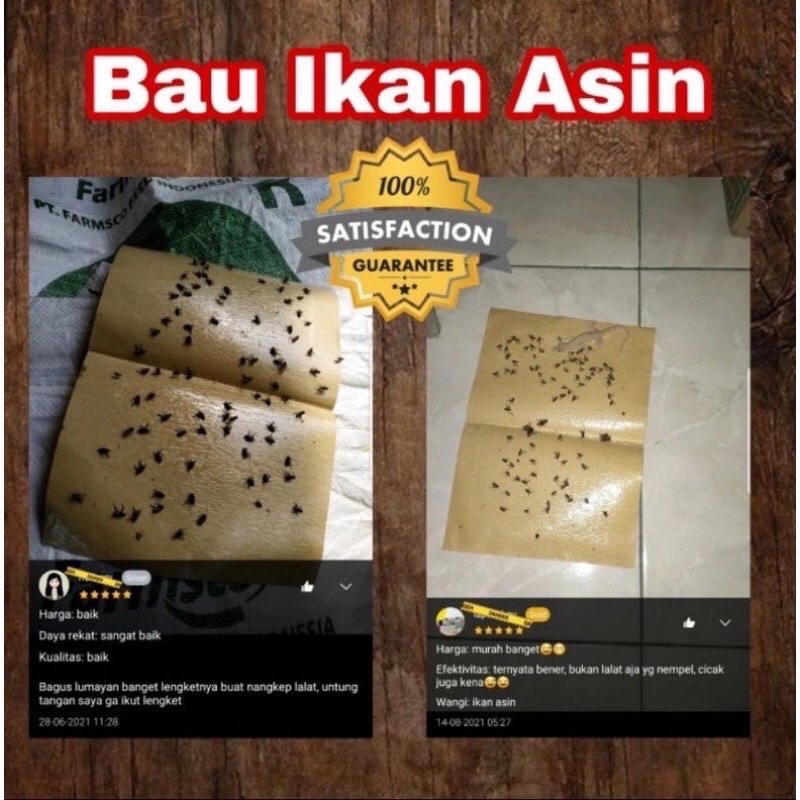 (SUN) LEM LALAT KERTAS ISI 10 LEMBAR (1PACK) PERANGKAP PENGUSIR/PENGHILANG LALAT KIMO/PAGODA MURAH