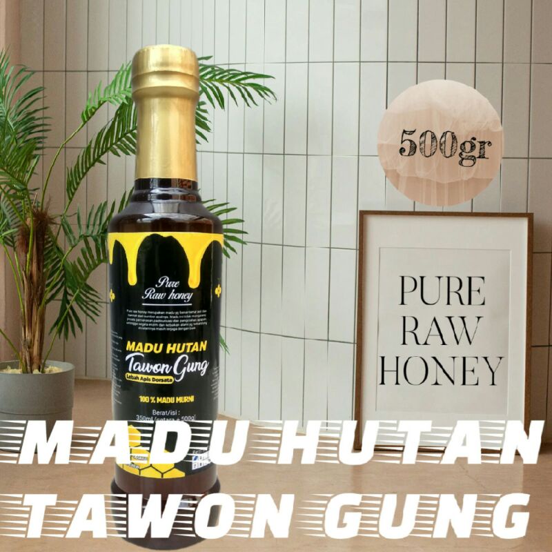 Madu Murni Asli 100% Hutan liar tawon gung 0,5Kg Madu Grosir | Pure Raw Honey 500 gram |